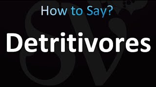 How to Pronounce Detritivores correctly [upl. by Raveaux247]