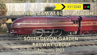 Live Steam Garden Railway at Buckfastleigh [upl. by Vokay953]