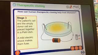 KS4GCSEBiologytherapeutic cloning [upl. by Ahsinrats]