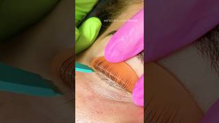 Lash lift asmr 🙈beautifulbeauty shortsyoutubeshorts youtubcreatorlashes asmrvideo eyelashes [upl. by Anitnamaid]