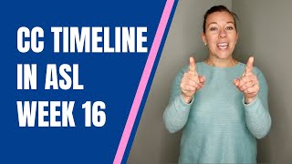 CC Week 16 Timeline Hand Motions in ASL [upl. by Akym]