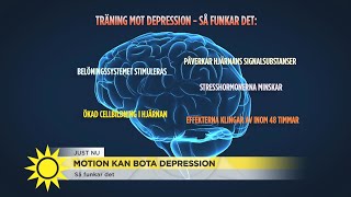 Forskning – Fysisk aktivitet kan häva depression  Nyhetsmorgon TV4 [upl. by Htebazle]