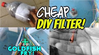 DIY cheap air driven filter  moving goldfish fry outdoors [upl. by Elenahc]