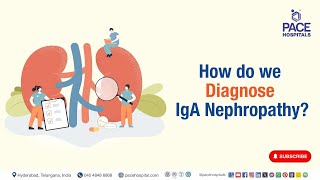 IgA Nephropathy Diagnosis  How do we Diagnose IgA Nephropathy  iganephropathy [upl. by Prue912]