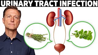 1 Best Remedy for a UTI Urinary Tract Infection [upl. by Haines]