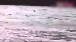 Inédito capturaron en video al monstruo del Lago Ness [upl. by Holbrooke]