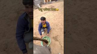 Pashu Parichar Funny Video 😂 Laxman Sir Tricks Wale shorts minilaxmansirmotivation pashuparichar [upl. by Elwyn762]