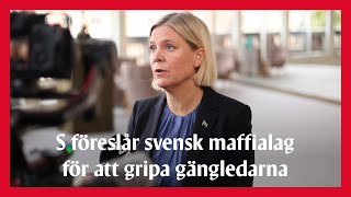 LIVE S föreslår svensk maffialag för att stoppa skjutningarna och gripa gängledarna [upl. by Malca]