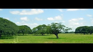 Río Sinú  Banda 19 de marzo de Laguneta [upl. by Senzer]