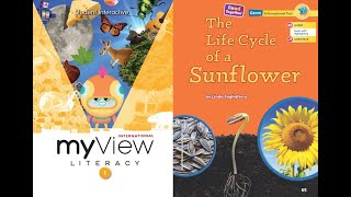 The Life Cycle of a Sunflower  myView 1st Grade Unit 2 Week 2  Read Along [upl. by Novla]