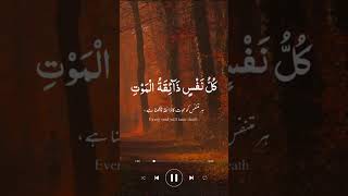 Tilawat Quran Best tilawat with beautiful voice [upl. by Githens483]