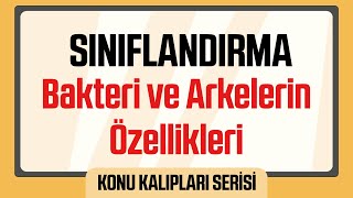 Canlıların Sınıflandırılması  Bakteri ve Arkelerin Genel Özellikleri [upl. by Isyed]