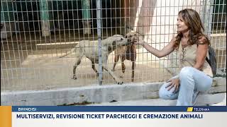 Multiservizi revisioni ticket parcheggi e cremazione animali [upl. by Calderon489]