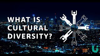 What is cultural diversity  Language Insight [upl. by Ibrad]