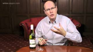 Wine review Brancott Estate Sauvignon Gris 2013 New Zealand [upl. by Rabkin]