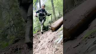 The process of dragging logs down the mountain [upl. by Nnaegroeg878]