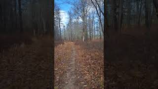 Fat Bike Saturday morning ride [upl. by Zurc]