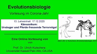 Känozoikum Ursäuger und Pferdefressende Terrorvögel [upl. by Brandie]