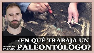 ⛏️ ¿En qué trabaja un Paleontólogo 🤔 [upl. by Atiekal]