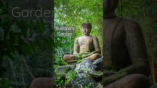 Buddha’s Garden by Iftekharul Anam and Buddha’s Lounge [upl. by Enirehtak]