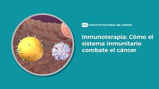 Inmunoterapia Cómo el sistema inmunitario combate el cáncer [upl. by Nino]