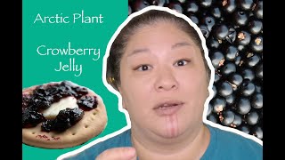 What are crowberries Alaska Native plants  Crowberry Jelly recipe [upl. by Ellienad]