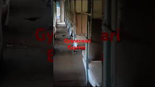 Gyaneswari express train bogi 😢😢😢 shorts shortsfeed gyaneshwari accident railway [upl. by Goggin]