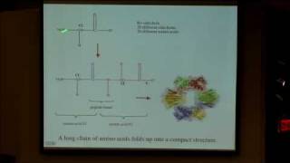 35 Enzyme catalysis [upl. by Williamsen493]