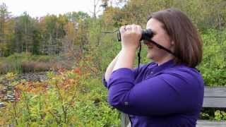 How to get crystal clear focus with your binoculars [upl. by Eilrak]