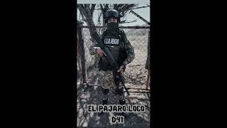 El Pajaro Loc0 D41 [upl. by Aileve]