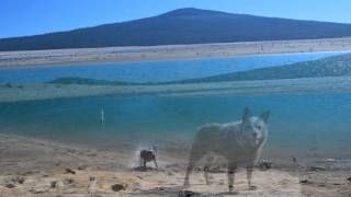 Wickiup Reservoir OR Camping The Big Empty Sept 2015 [upl. by Eberle48]