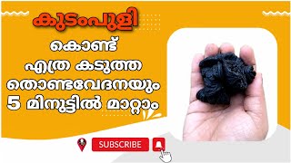 തൊണ്ട വേദന ഇനി ഒരു ശല്യം ആകില്ല  severe throat pain home remedies malayalam  thonda vedana maran [upl. by Neural861]