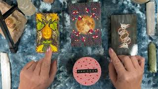 Sagittarius What your person needs to know Crosswatcher TarotSnack [upl. by Nylzor]