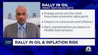 Satori Funds Dan Niles Energy prices are the most important economic data point [upl. by Tjader132]