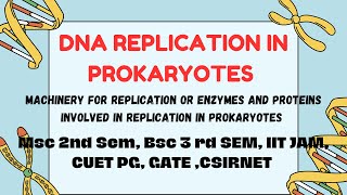 DNA Replication in Prokaryotes  Part 1 Enzymes Csirnet Gate IIT JAM CUET PG Bsc 3rd SemMsc [upl. by Annaynek]