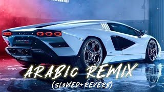 New Arabic Remix Song 2023  Tiktok Arabic Remix Song  Bass boosted slowed reverb [upl. by Sinnaoi]