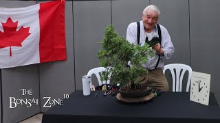 A Summer Bonsai Show The Bonsai Zone July 2023 [upl. by Aikar568]