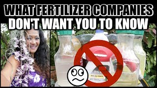 NEW FERTILIZER FOR ORCHIDS  HOMEMADE ORCHID FERTILIZER RESULTS [upl. by Neeleuqcaj]