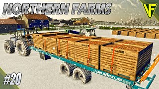 Why Are These So Hard To Sell  Northern Farms  FS22 Start From Scratch [upl. by Gratt922]