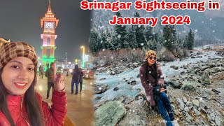 A Day in Srinagar  Must Visit Places in Srinagar [upl. by Aidualk]