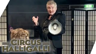 Aushalten nicht lachen Tag Team Edition  Teil 3  Circus HalliGalli  ProSieben [upl. by Kachine]