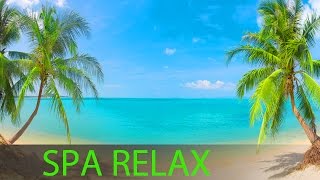 8 Hour Super Relaxing Spa Music Massage Music Background Music Relaxing Music ☯391 [upl. by Grazia]