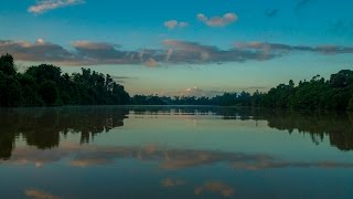 Cruising the Kinabatangan River [upl. by Gainor967]