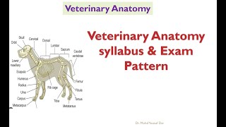 Syllabus of veterinary anatomy BVSc amp AHexam pattern first year BVSc and AH [upl. by Asela]