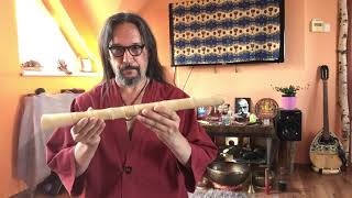 Non bamboo Shakuhachi comparison Pepe Danza [upl. by Gytle]