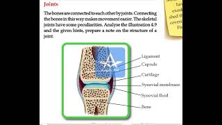 Class 9 Kerala Syllabus Biology new text Chapter 4 Part 15 [upl. by Ronnholm]