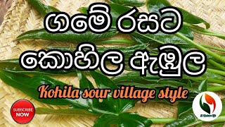 Kohila sour කොහිල ඇඹුලක් ගමේ විදිහට රසට [upl. by Akinek830]