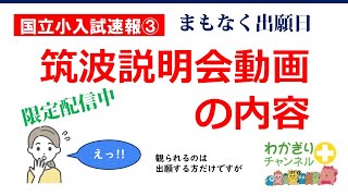 【国立小学校受験】募集要項頒布開始。筑波大学附属小学校が出願者に向けて配信した学校説明会動画の内容について [upl. by Einnel]