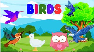 Birds Song  Learn Bird Names with this Fun Animated Kids Video [upl. by Ivek]