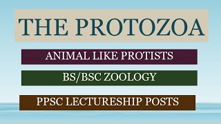 The Protozoa BSC 1st year Invertebrates Diversity 1st Lecture [upl. by Lraep]